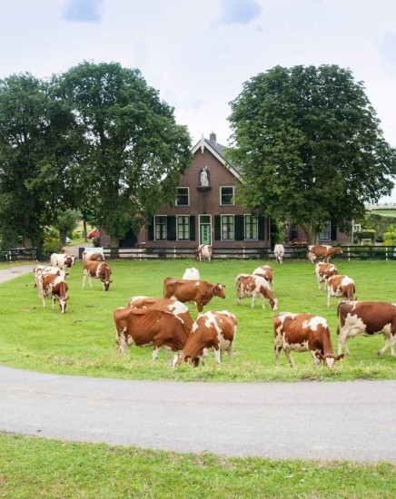 Sint_Nicolaas_Hoeve-15-1280x960-crop-F2F5F3.jpg